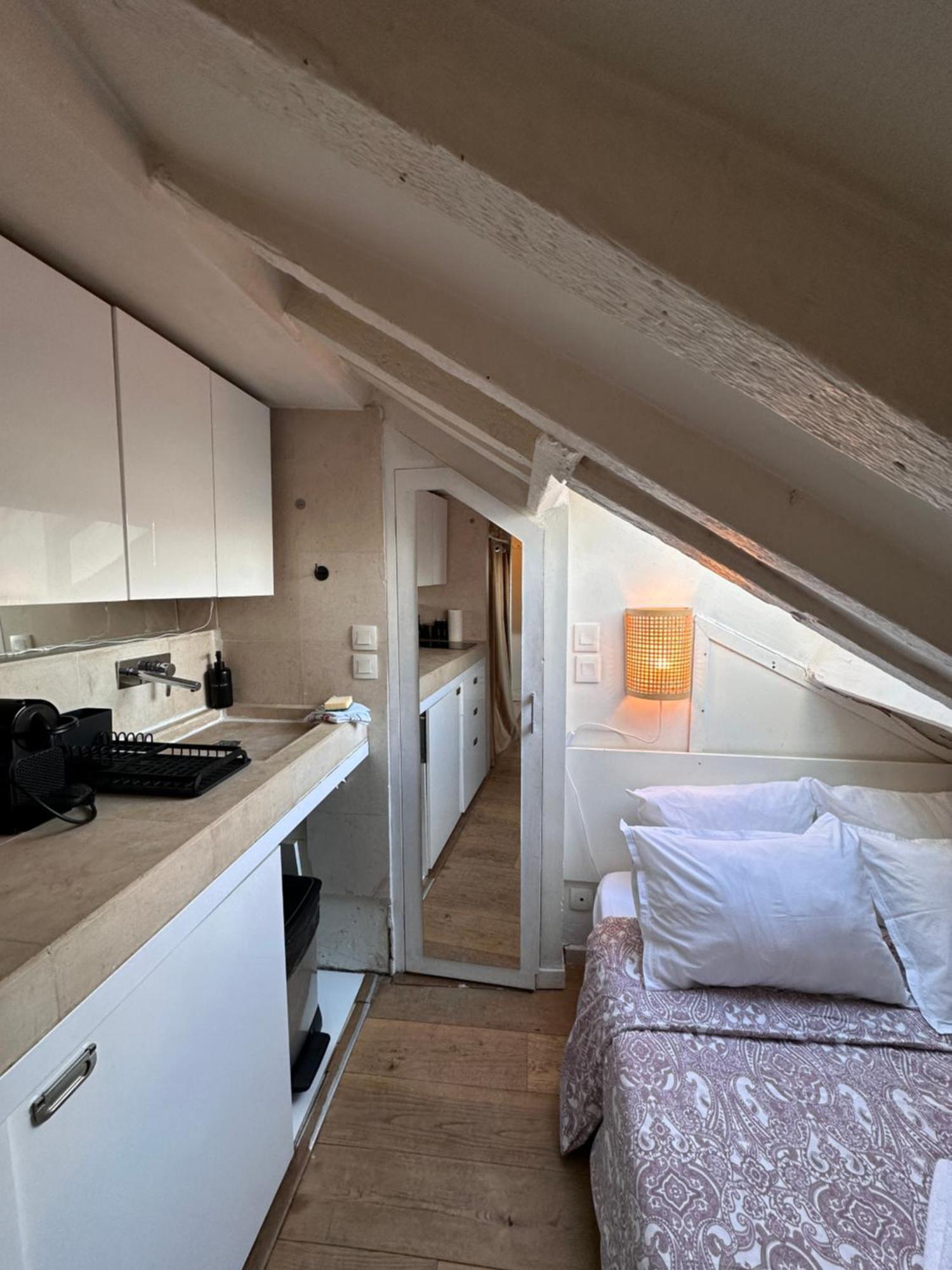 Apartamento Marais Rooftop Studio - Metro Filles Du Calvaire París Exterior foto
